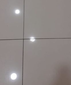 Floor stripping and polishing